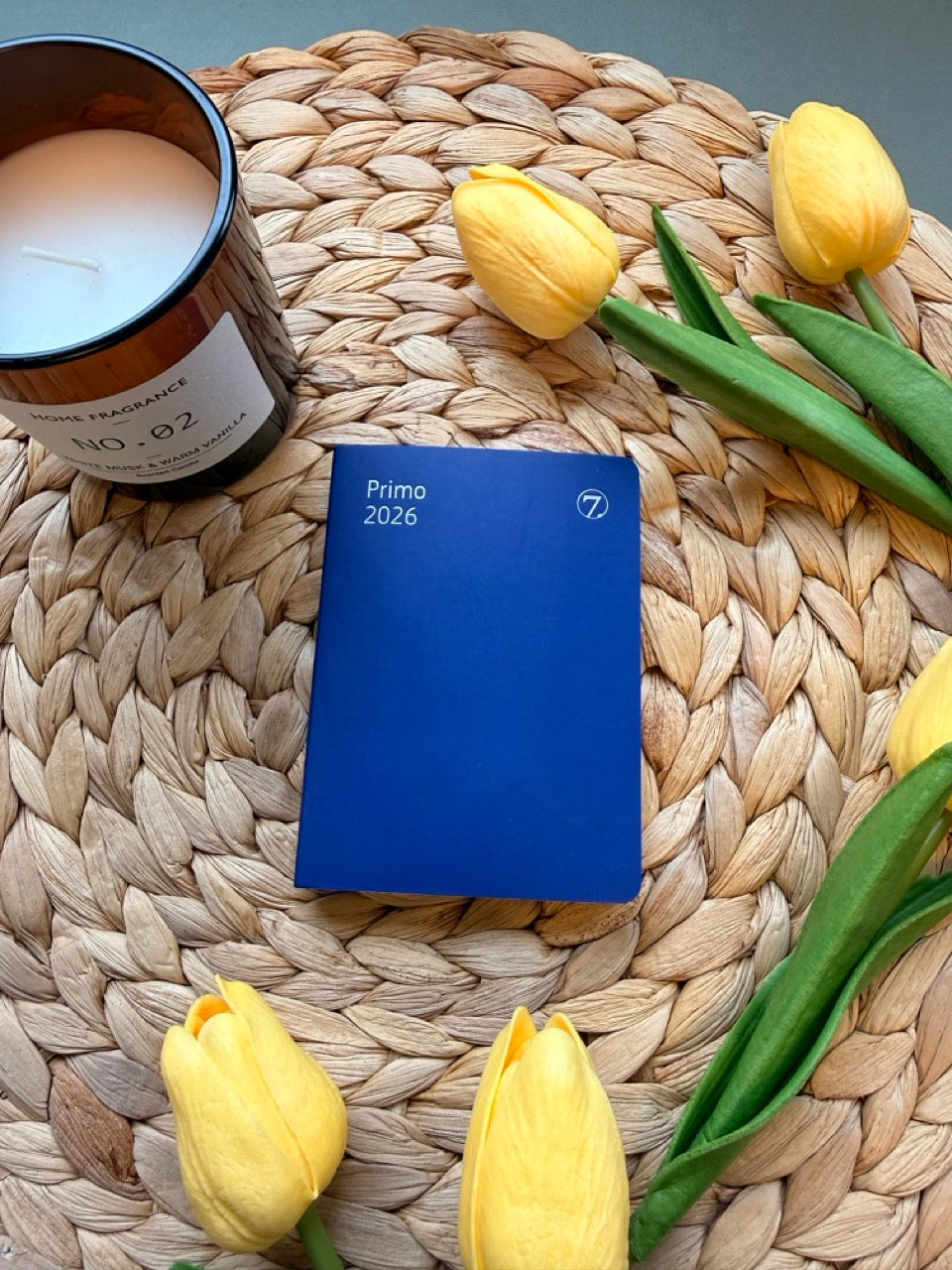 7.sans Primo, kartong blå 2026