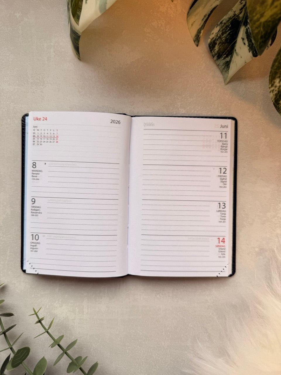 7.sans Adnotam Trend, imitert skinn 2026