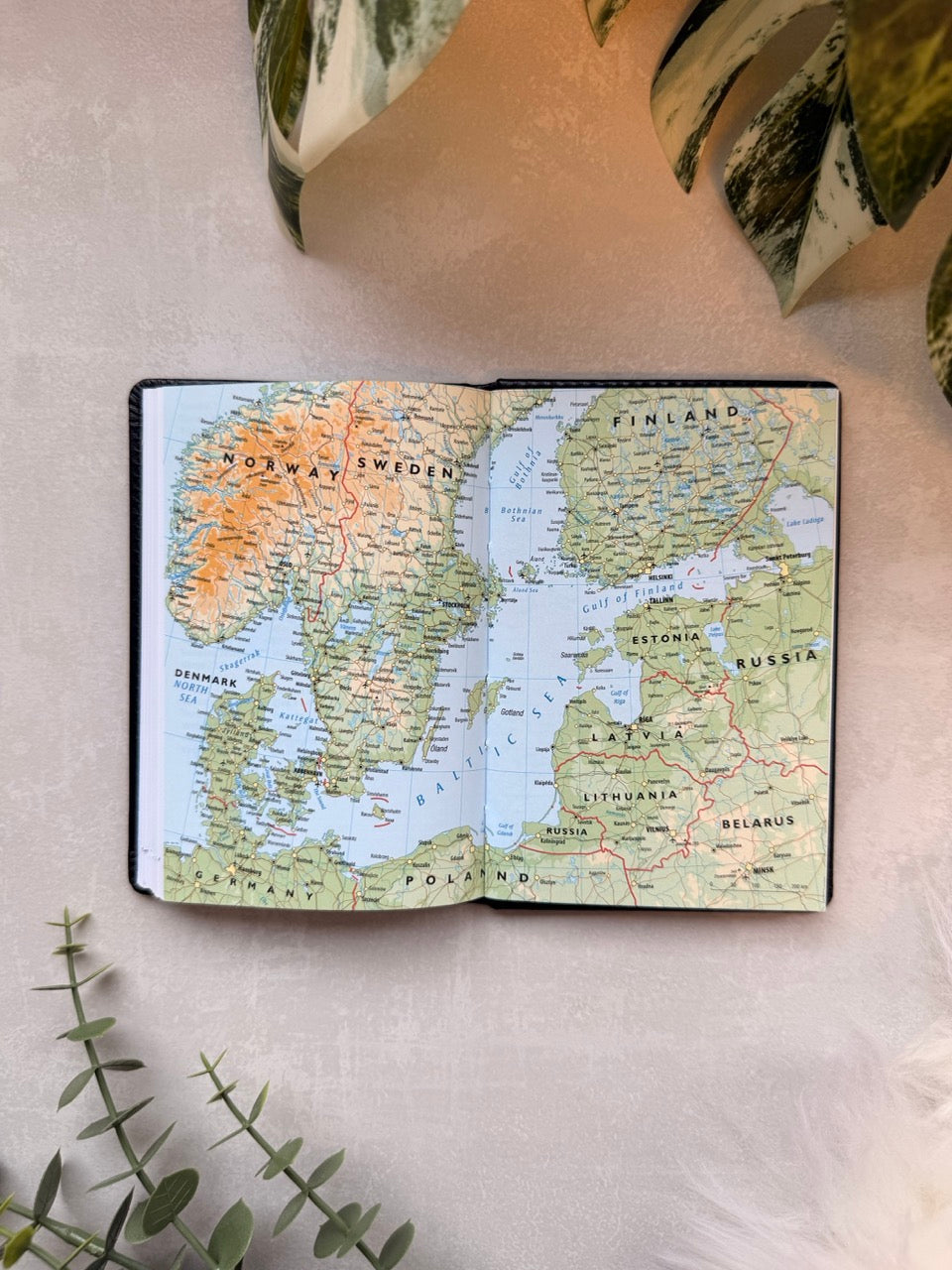 7.sans Adnotam, imitert skinn sort 2026