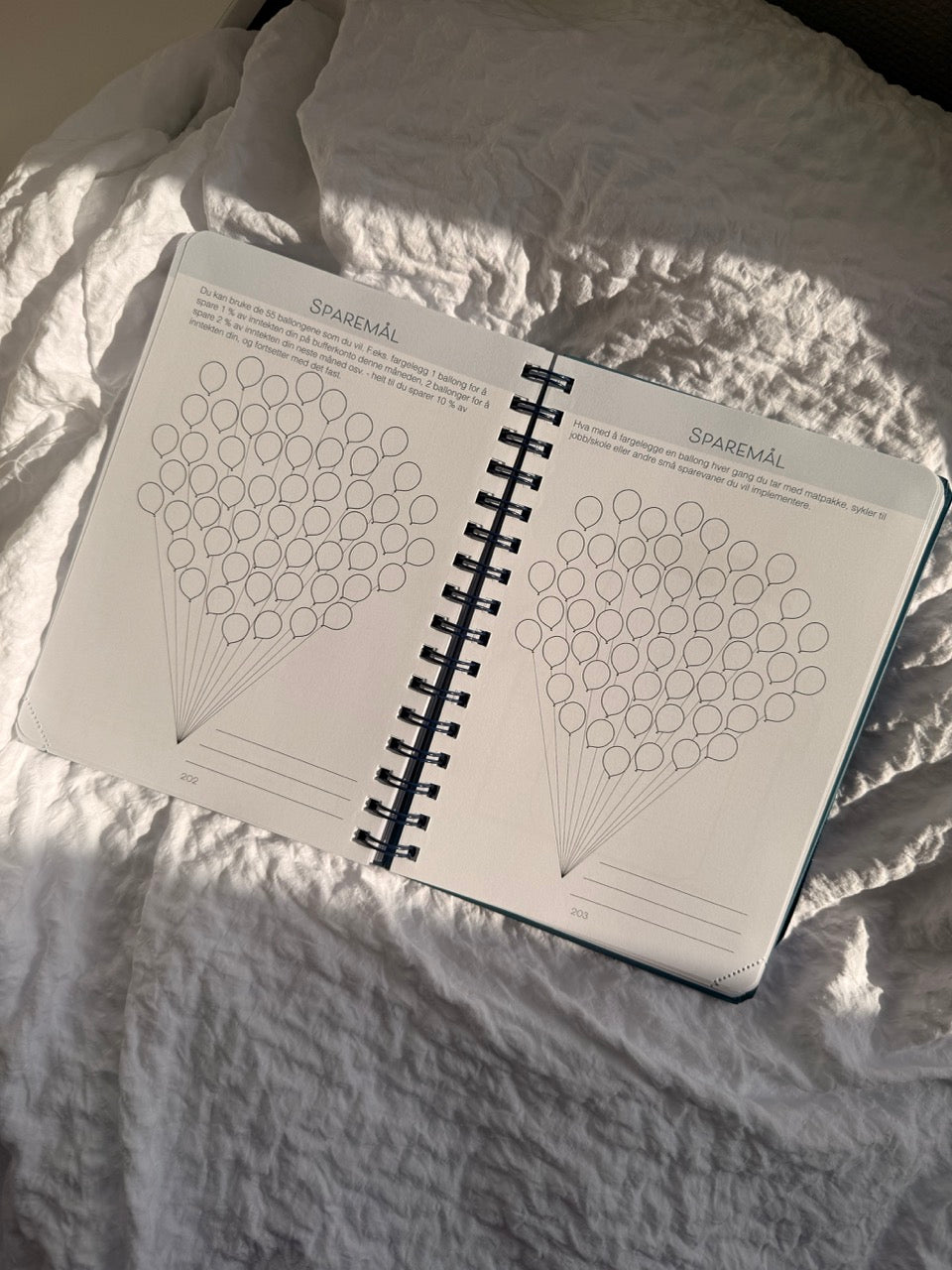 7.sans Pengesnakk planlegger 2026