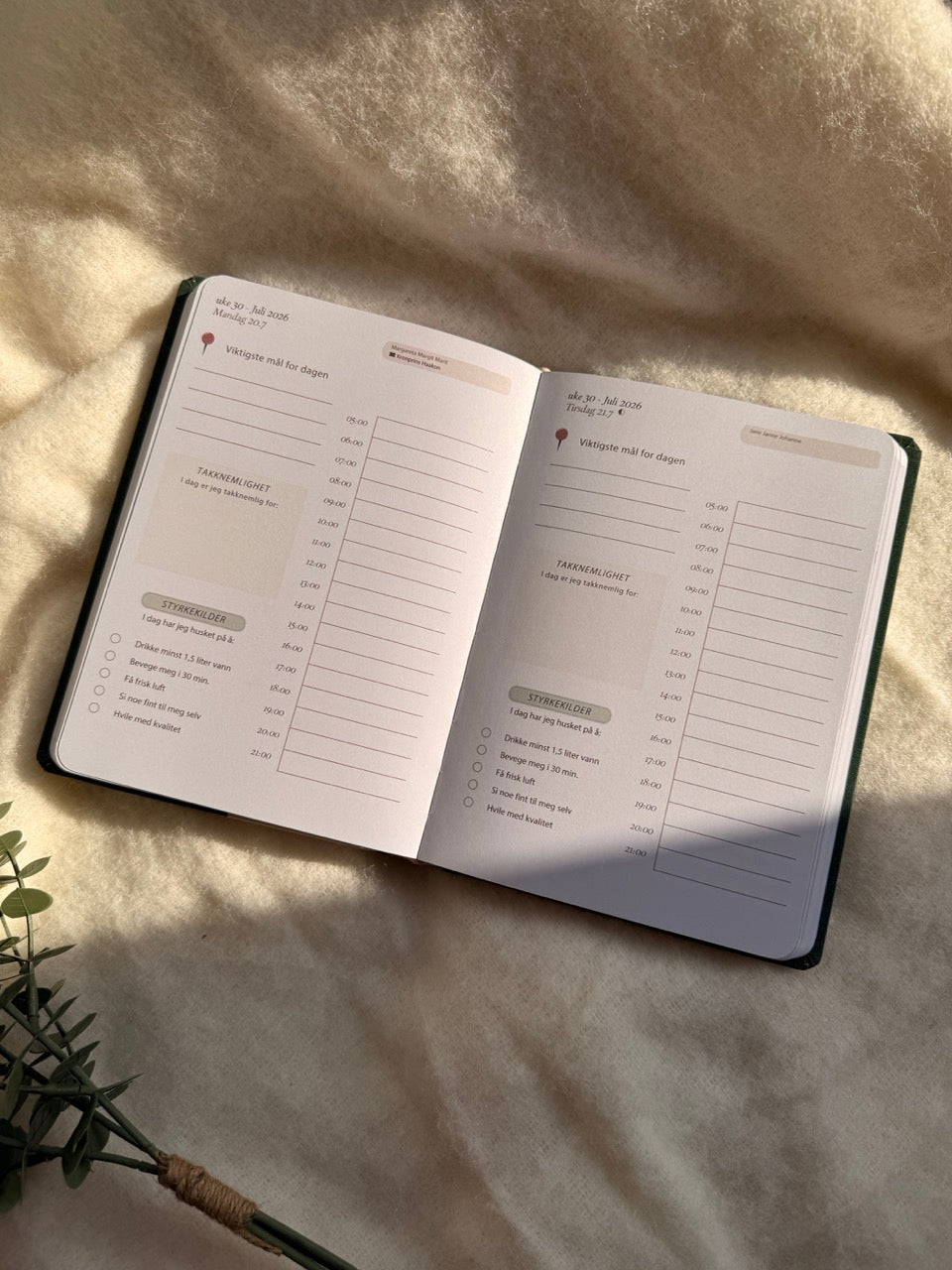 7.sans Fullt Fokus 2026