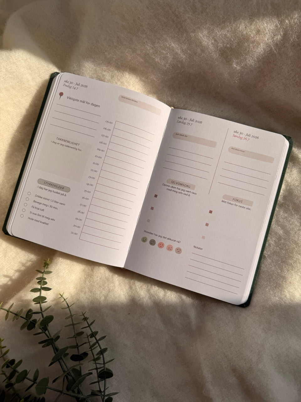 7.sans Fullt Fokus 2026