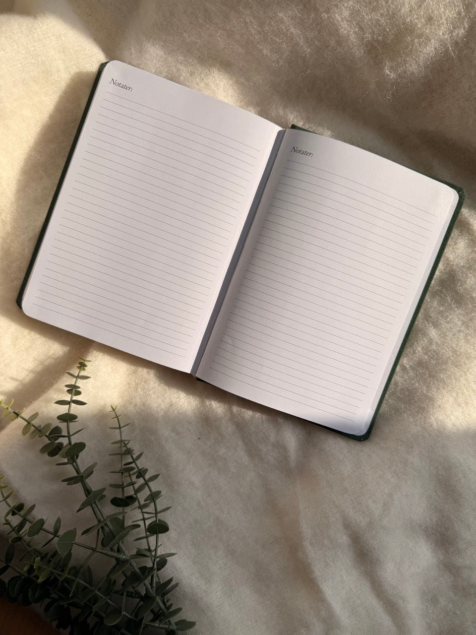 7.sans Fullt Fokus 2026